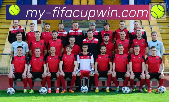 FIFA世界杯买球入口服务体系